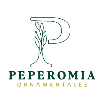 Peperomia Ornamentales